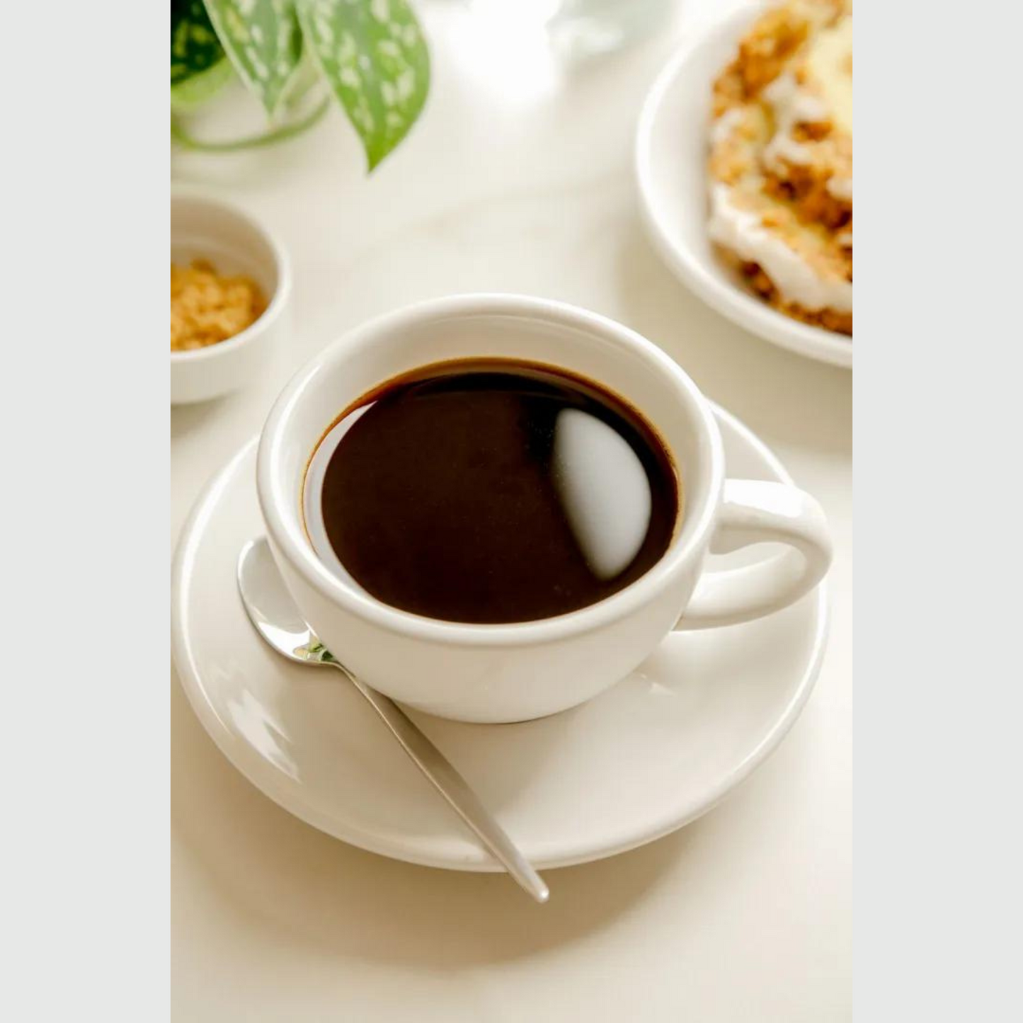 Green Living, for a Sustainable Tomorrow - 26th April 2025